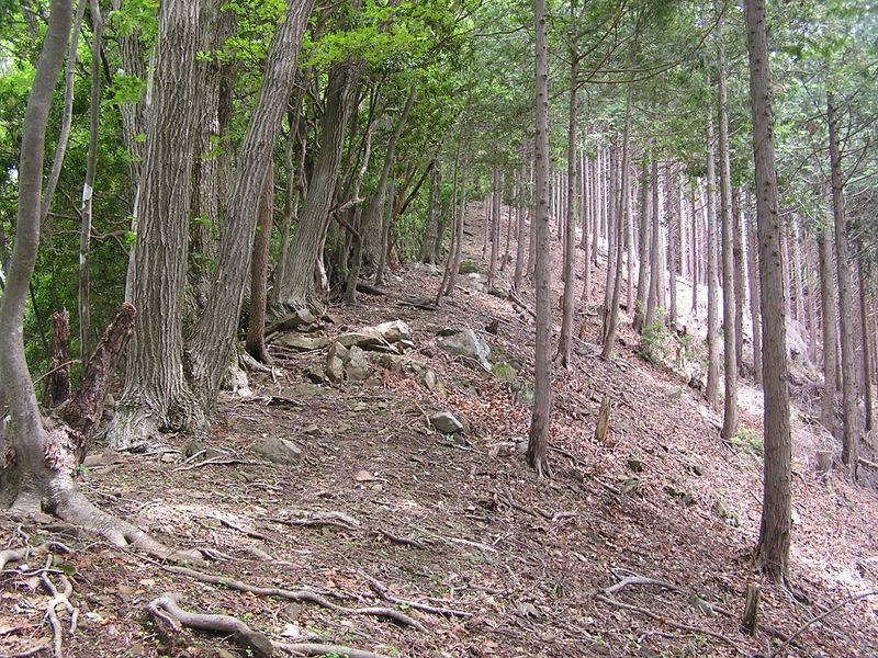 本仁田山 -- 混合樹林の尾根を登って行く