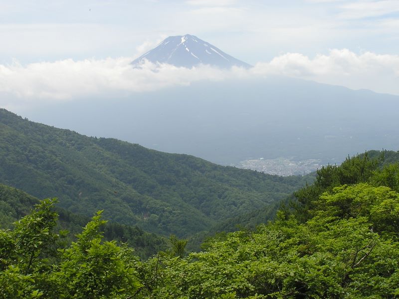 清八山頂より望む富士山