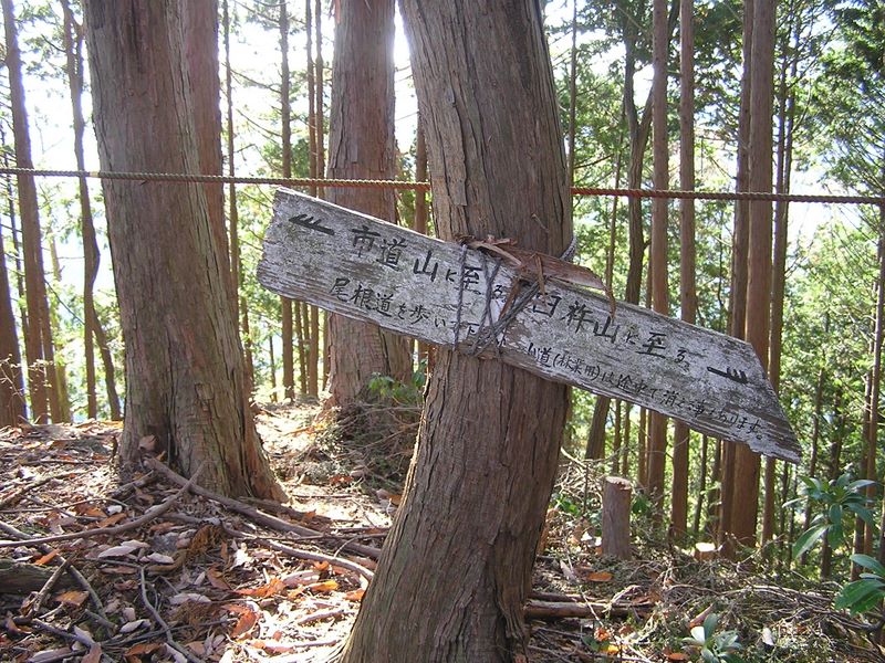 市道山・臼杵山 -- 登山者が作業道に踏み込まないように張られたロープ