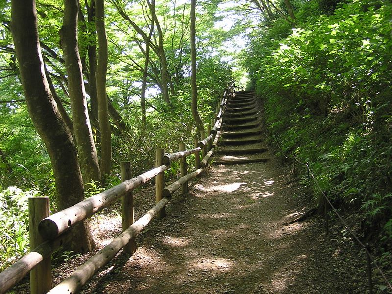 高尾山・稲荷山コース -- お稲荷さんの祠まではこんな道