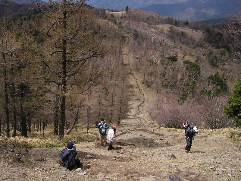 笠取山 -- 半分くらい登ったかな？
