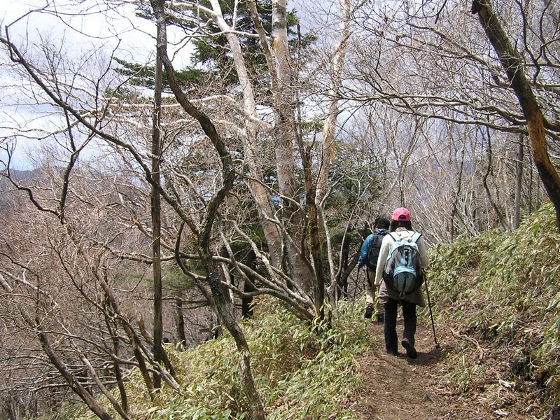 笠取山 -- 水干（みずひ）に向かう