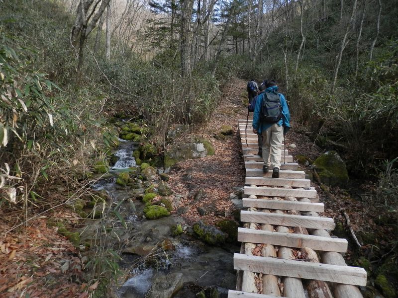 笠取山 -- 登山道というよりは、遊歩道のような道