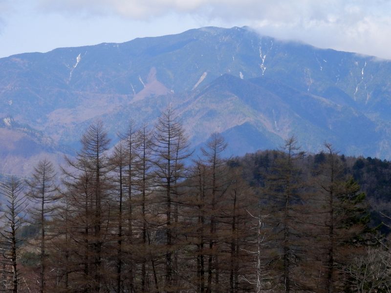 笠取山 -- 小さな分水嶺より、国師ヶ岳を望む