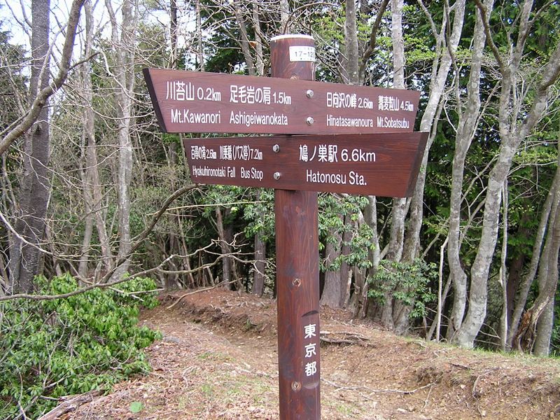 川苔山 -- この十字路で、どこに下山路を取るか考え直した