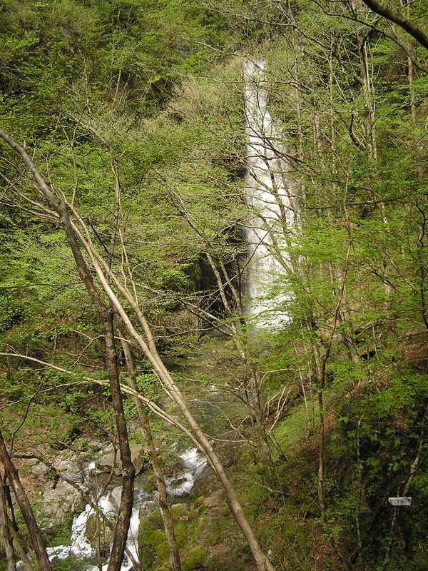 川苔山 -- 百尋ノ滝が見えた