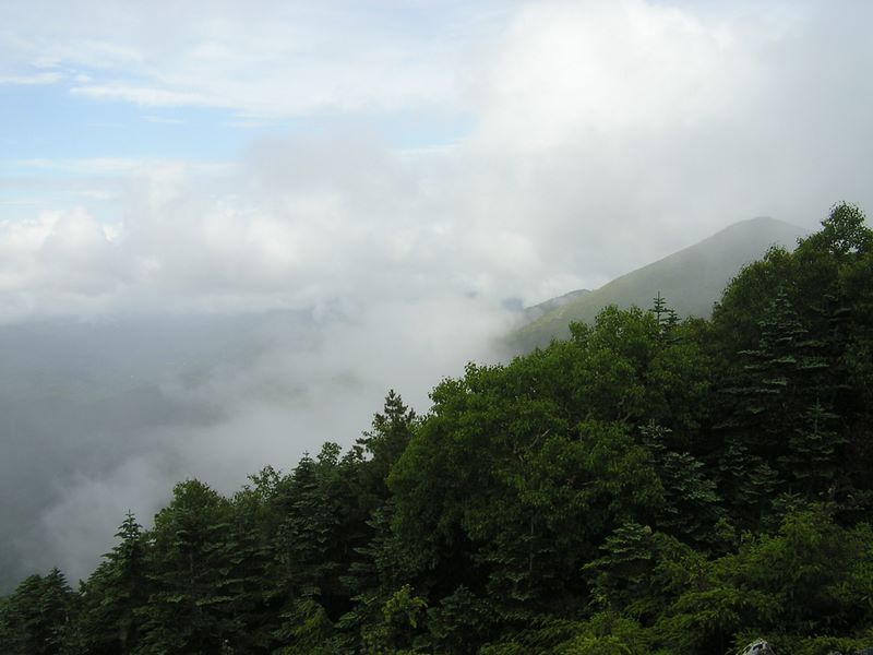 金峰山 -- 朝日岳西稜線から、雲に隠された奥秩父主稜方向を望む