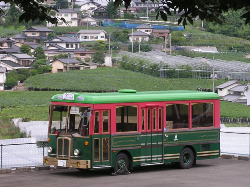金峰山 -- ぶどうの丘に駐車中のレトロバス