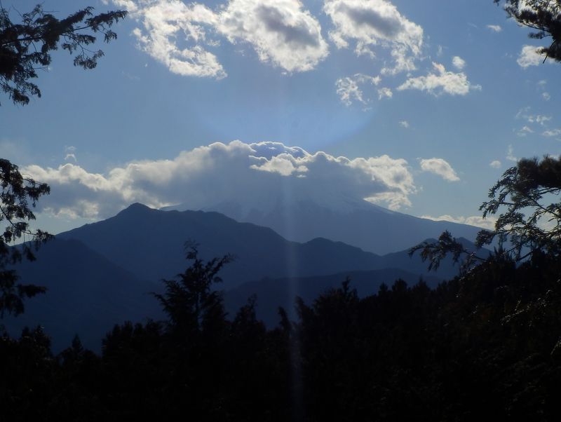 景観伐採空間の富士山と鹿留山
