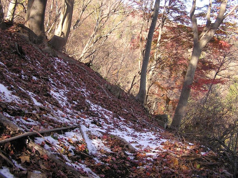 経ヶ岳・華厳山・高取山 -- 秋から冬へ