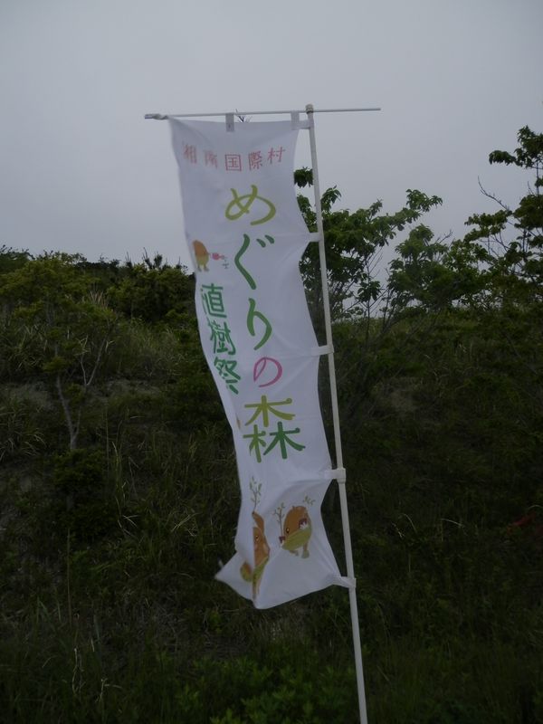 めぐりの森植樹祭の、のぼり旗