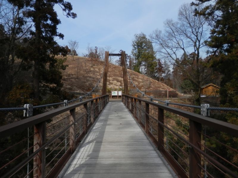 「森のわたり橋」を渡り、あいかわ公園を通り抜ける