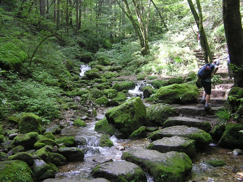 御岳平から大岳山 -- 御岳沢の遊歩道は、ロックガーデン（岩石園）と呼ばれている