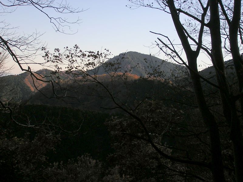 三峰山 -- 枝越しに見上げる鐘ヶ岳