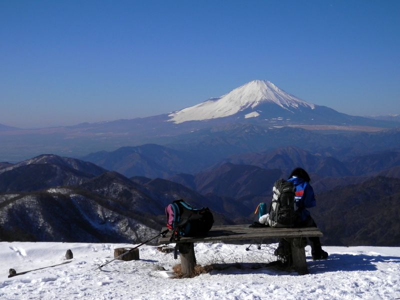 まず目が行くのが富士山