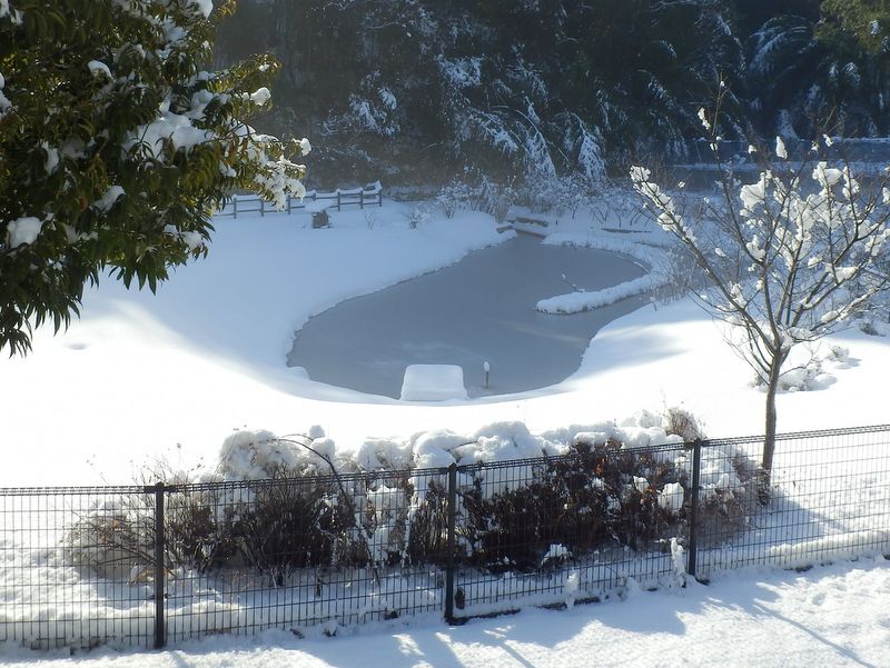 表面が凍結した雨水調整池