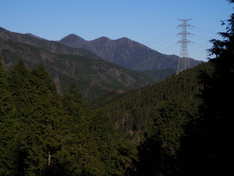 登り始めるとずぐに見えた丹沢三峰。左に太礼ノ頭。