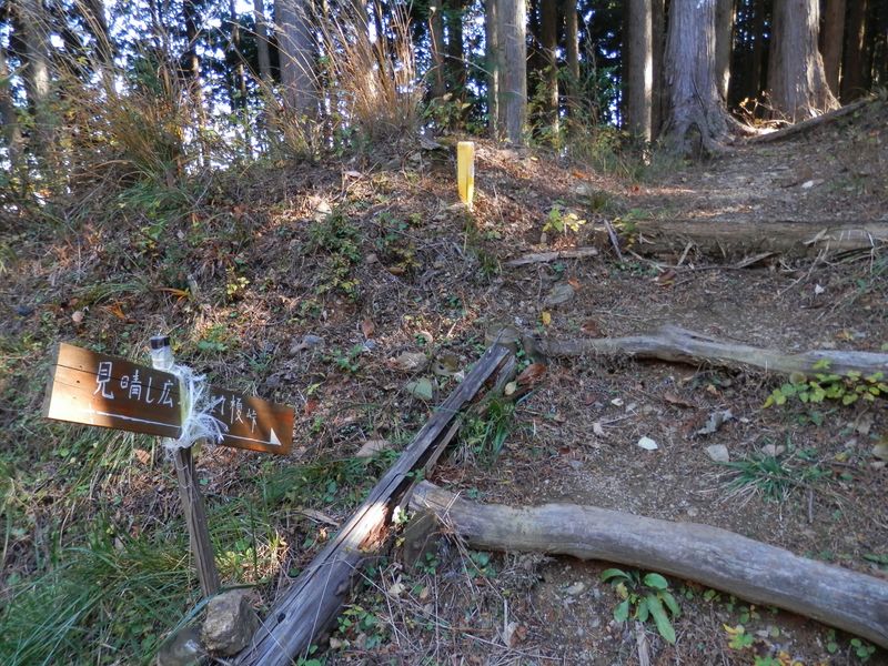 榎峠からの登山路は、ここでなちゃぎり林道に出るようだ