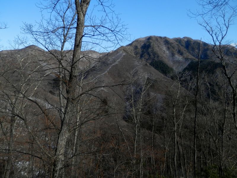 滝子山と大谷ヶ丸