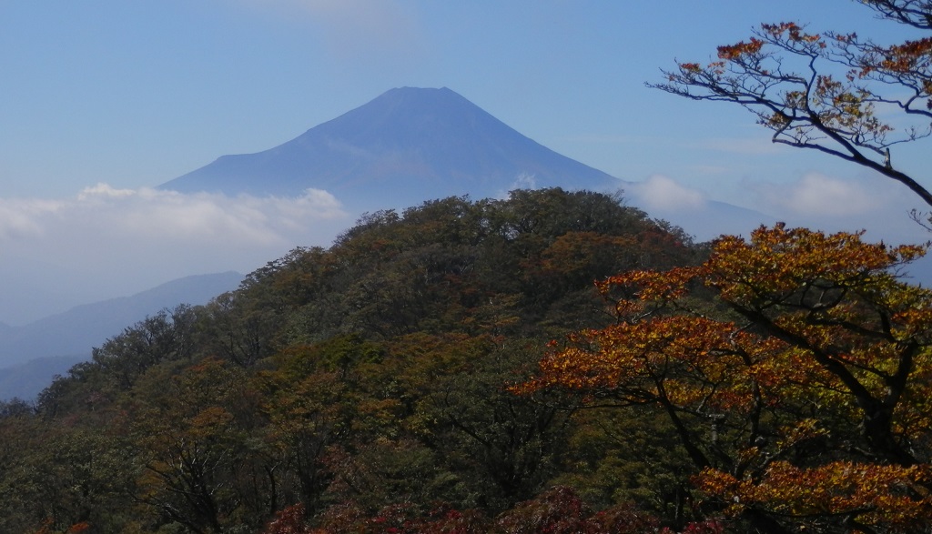 大室山山頂から7分ほど南に行くと、富士山が見えた
