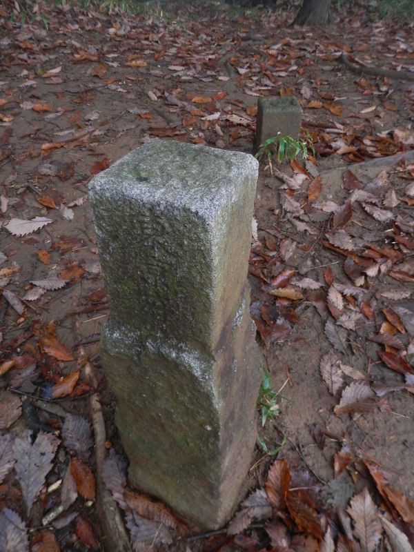 東京府の石柱（手前）と、東京都の石柱