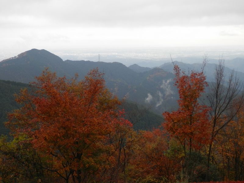 麻生山と金毘羅尾根