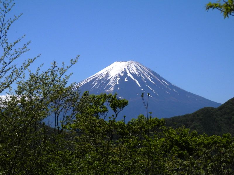 大沢山から望む富士山