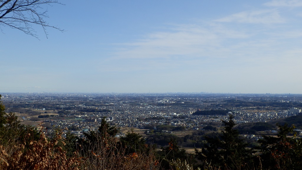 西山高取より、東京スカイツリーを望む