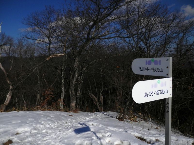 扇山 -- 浅川峠への踏み跡