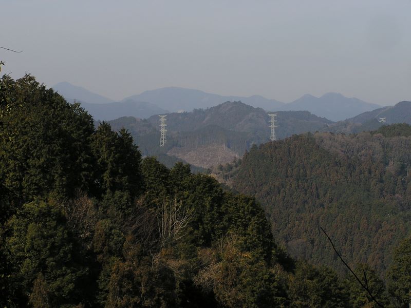 青梅丘陵 -- 武甲山、武川岳、伊豆ヶ岳か