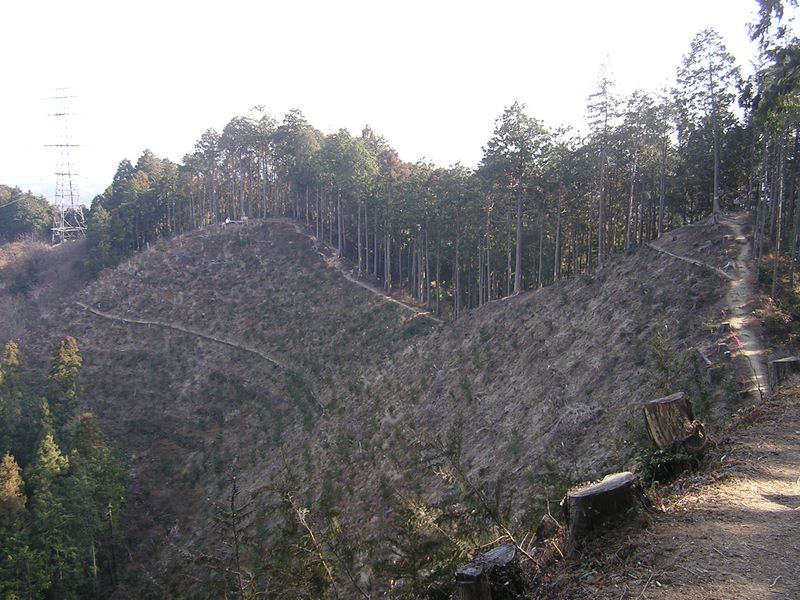 青梅丘陵 -- 三方山の肩付近から見た伐採地
