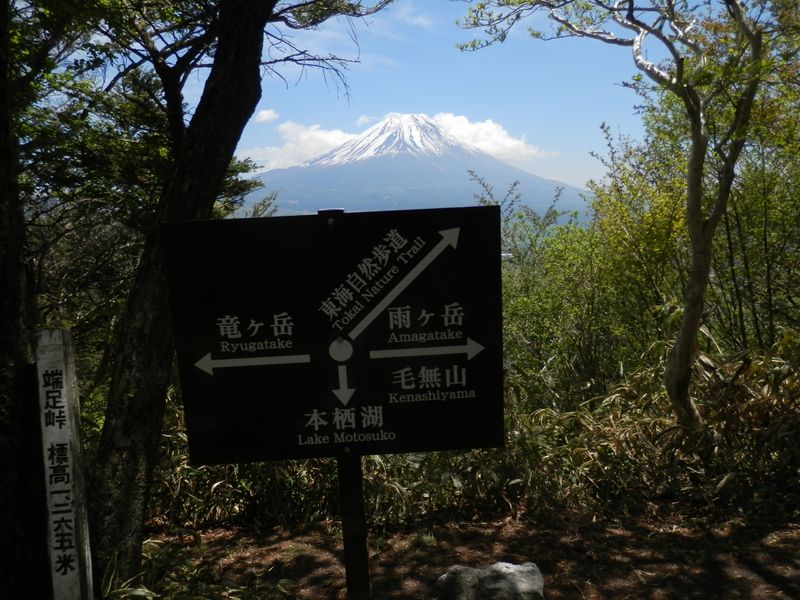 端足峠で富士山と一旦お別れ