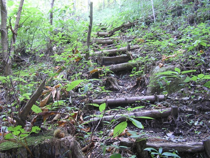 仙洞寺山 -- 階段道を登って行く