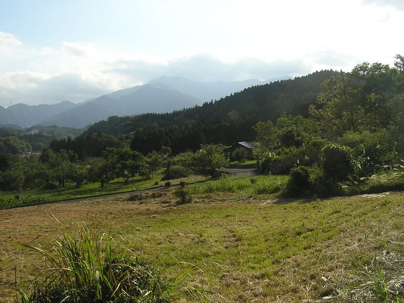 仙洞寺山 -- 渡戸の畑地より、丹沢を望む