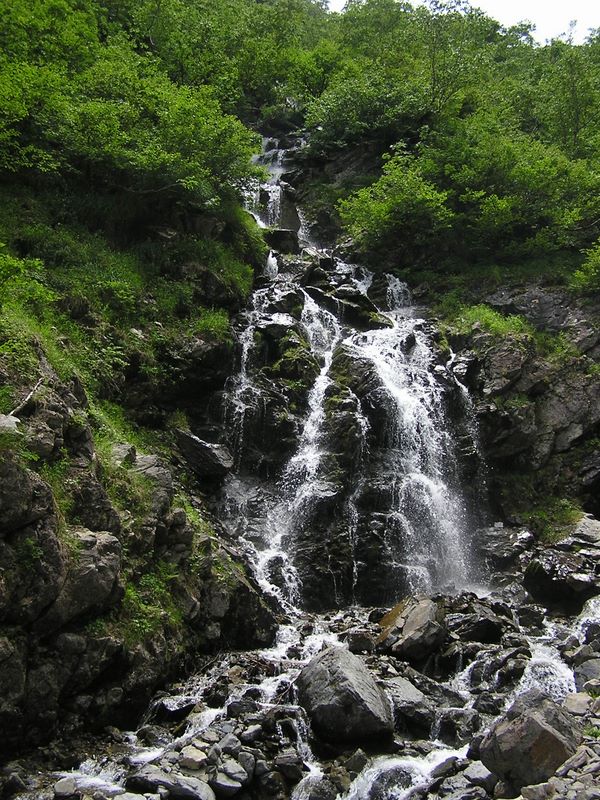 仙丈ヶ岳 -- こんな小滝がいくつも流れ込む