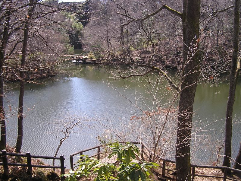 渋沢丘陵と頭高山 -- 震生湖に静かな春が来ていた