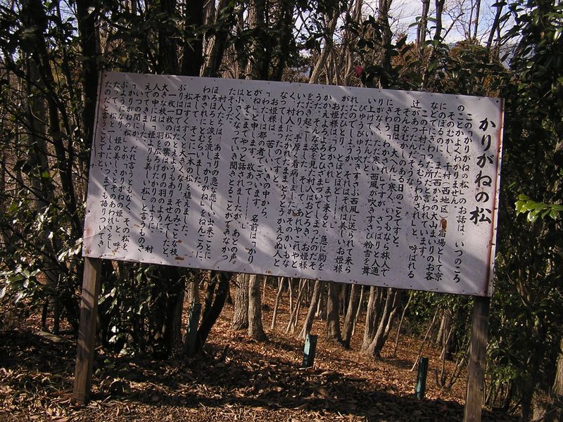 渋沢丘陵と頭高山 -- かりがねの松の伝説