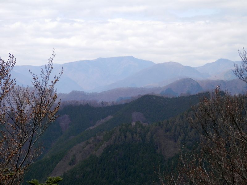 日向沢ノ峰より、雲取山を望む