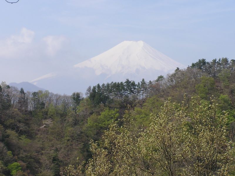 高川山･九鬼山 -- この日初めて見る富士山に「おお〜〜！」　春がすみです