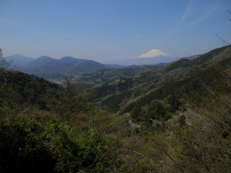 この林道は、富士山が何度も見える