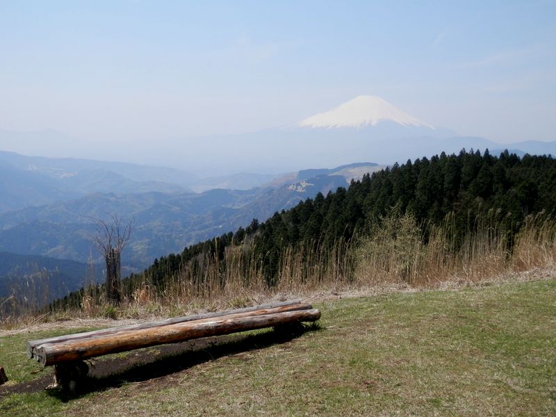 高松山より、富士山と大野山を望む