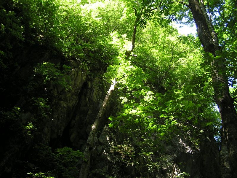 鷹ノ巣山 -- 切り立った岩を左に見ながら登る