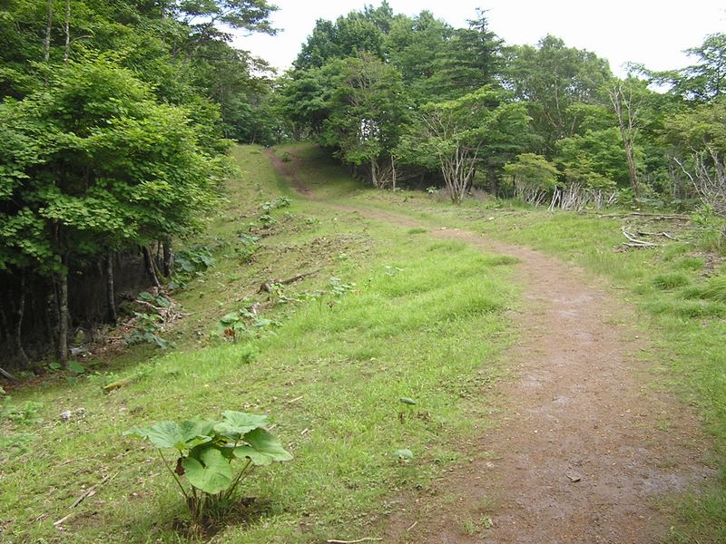 鷹ノ巣山 -- このあたりの縦走路は上りも下りも緩やかだ