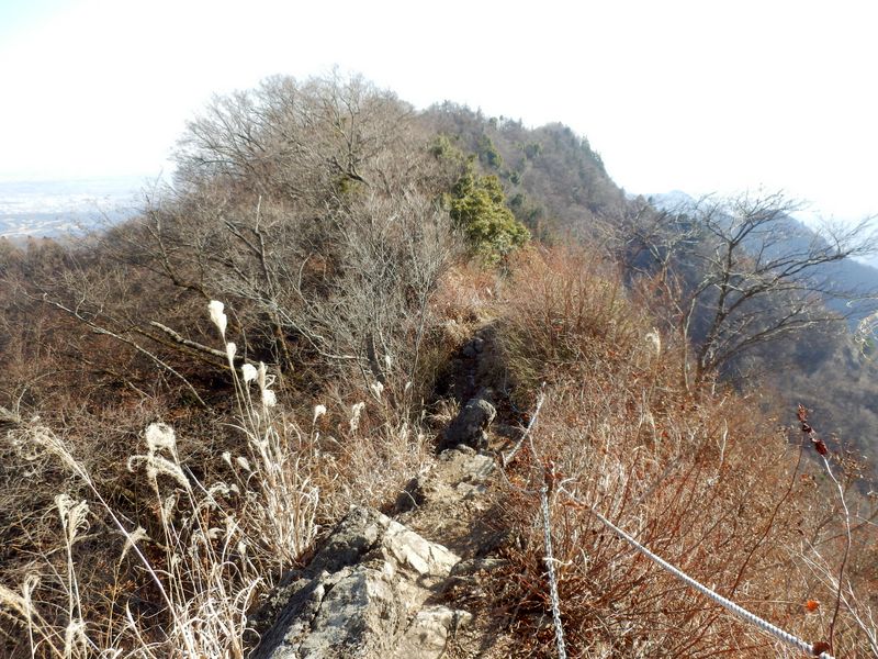 仏果山の南尾根