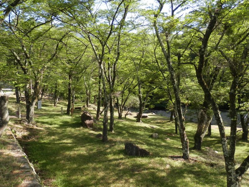 櫻公園