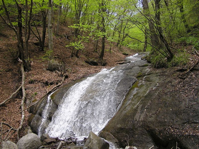 滝子山 -- 大きな岩を舐めるように滑る滝