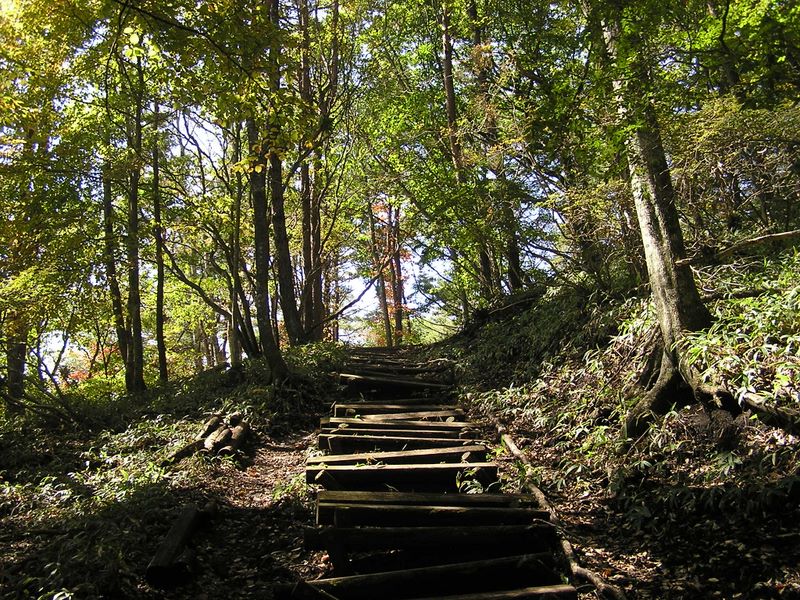まきば公園・天女山 -- はじめは階段道を登る