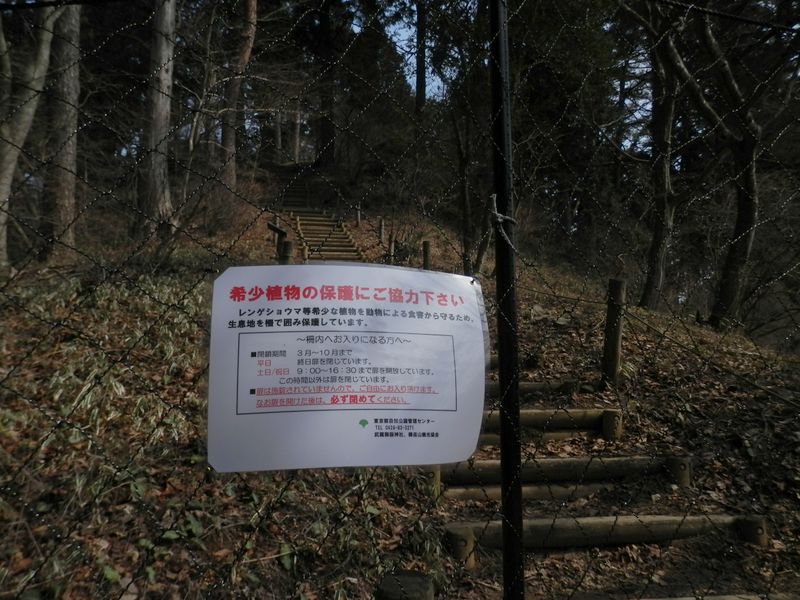 富士峰園地に保護柵