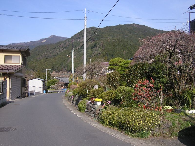 鉄五郎新道から大塚山 -- 前方の山を見ながら、緩い坂を下って行く