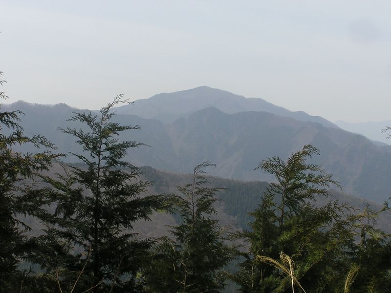 鉄五郎新道から大塚山 -- 大塚山より、御前山を望む